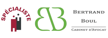 Logo minisite